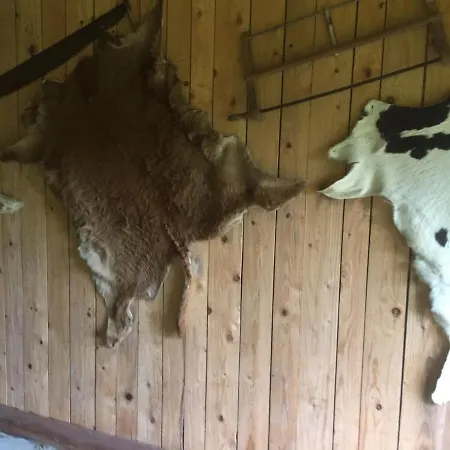 Appartamento Nad Strumykiem *