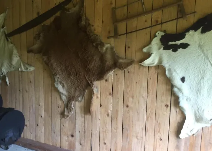 아파트 Nad Strumykiem *