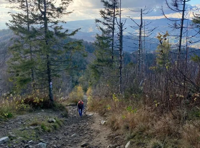 Nad Strumykiem 아파트